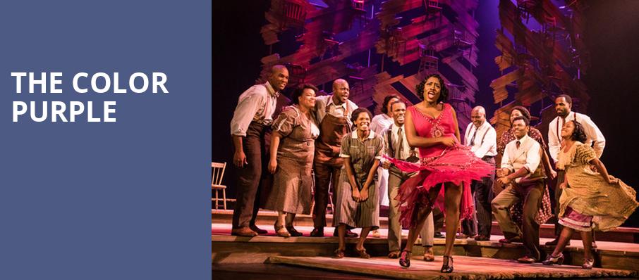The Color Purple, Kirby Center for the Performing Arts, Wilkes Barre